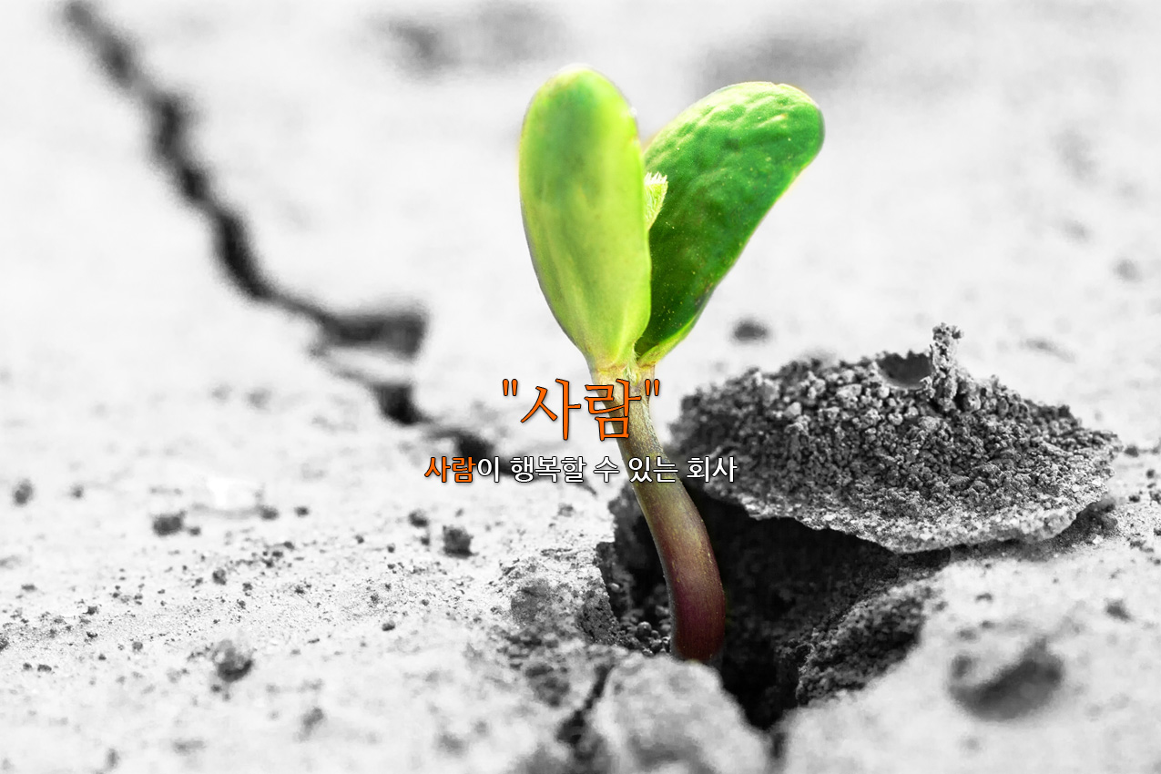 이벤트 게시판이 신설 되었습니다.